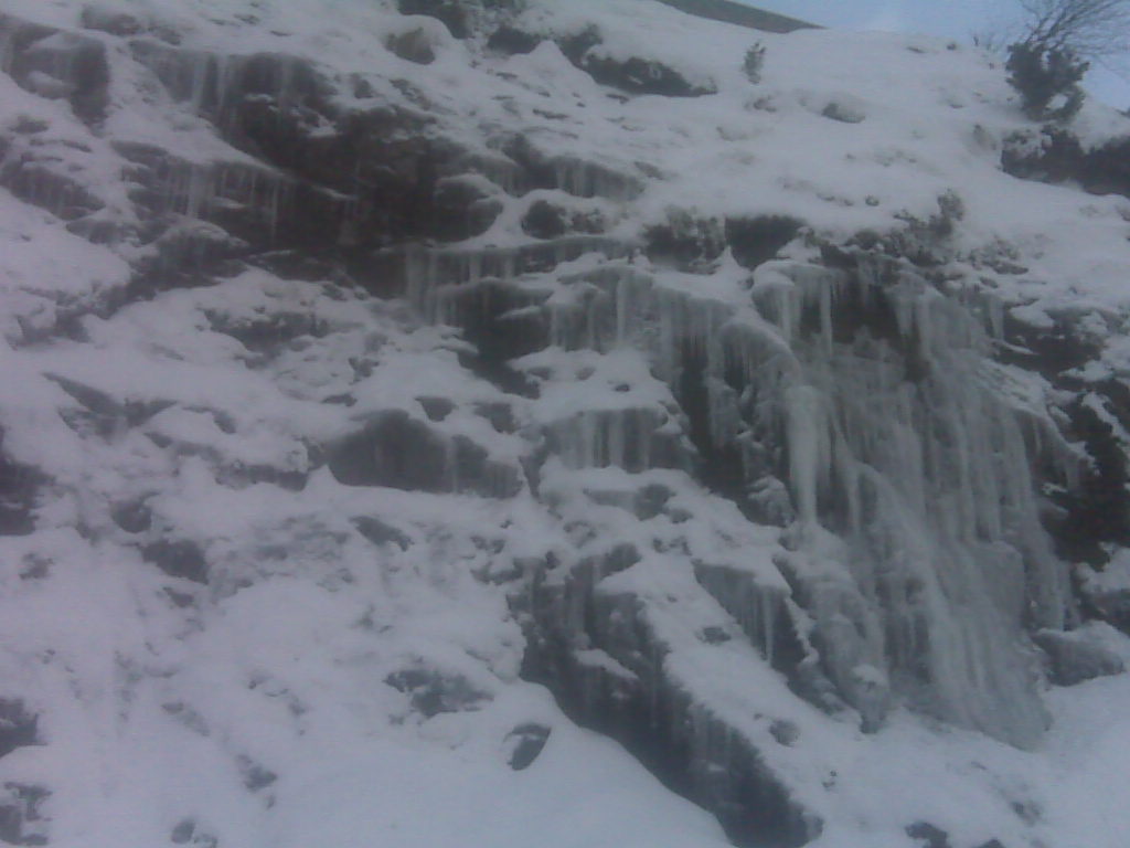 nieve