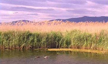 Lago Arreo
