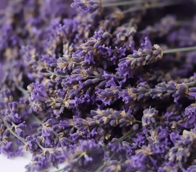 Crear ambientadores e inciensos naturales: tradición, creatividad y sostenibilidad en Ekoetxea Sobrón